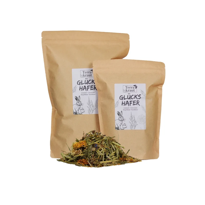 Terrakraut Glückshafer