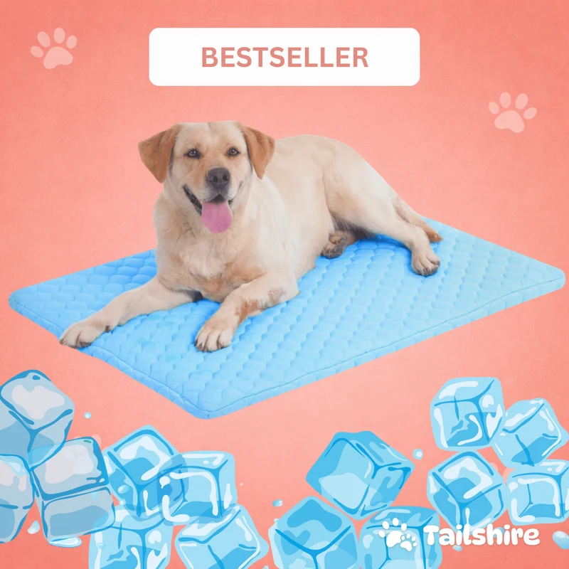 PfotenFrisch - Der Bestseller