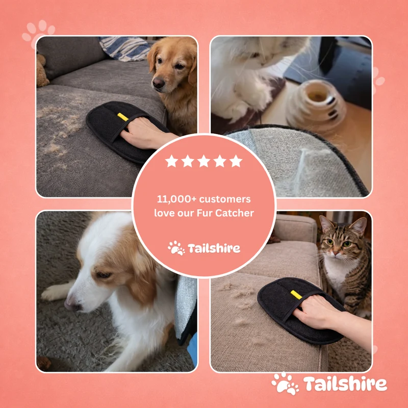 Fellfänger für Katzen & Hunde
