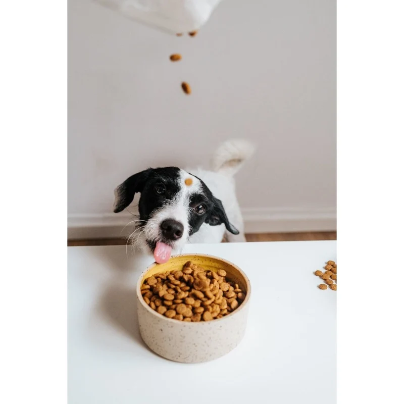 VEGDOG Simply Crunch