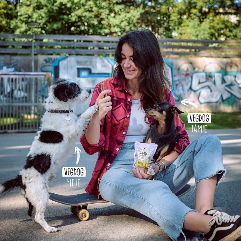 VEGDOG Mobilities