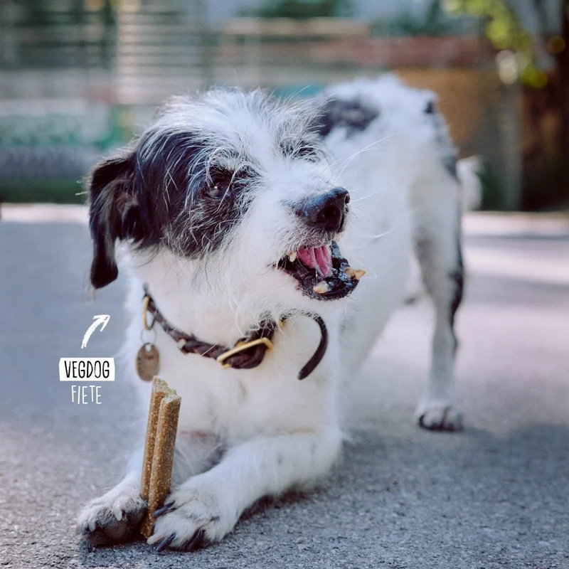 VEGDOG Mobilities