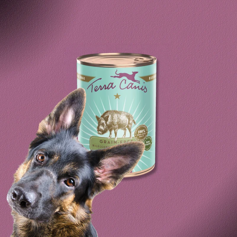 6x400g Terra Canis Grainfree Wildschwein mit Roter Bete, Kastanie und Chiasamen