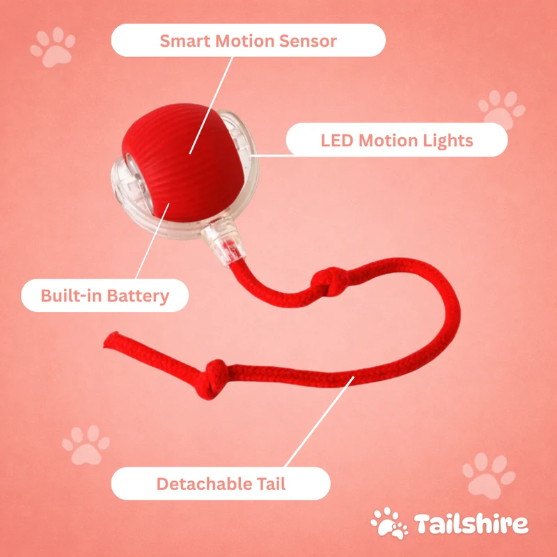 Interaktiver Spielball mit Schwanz