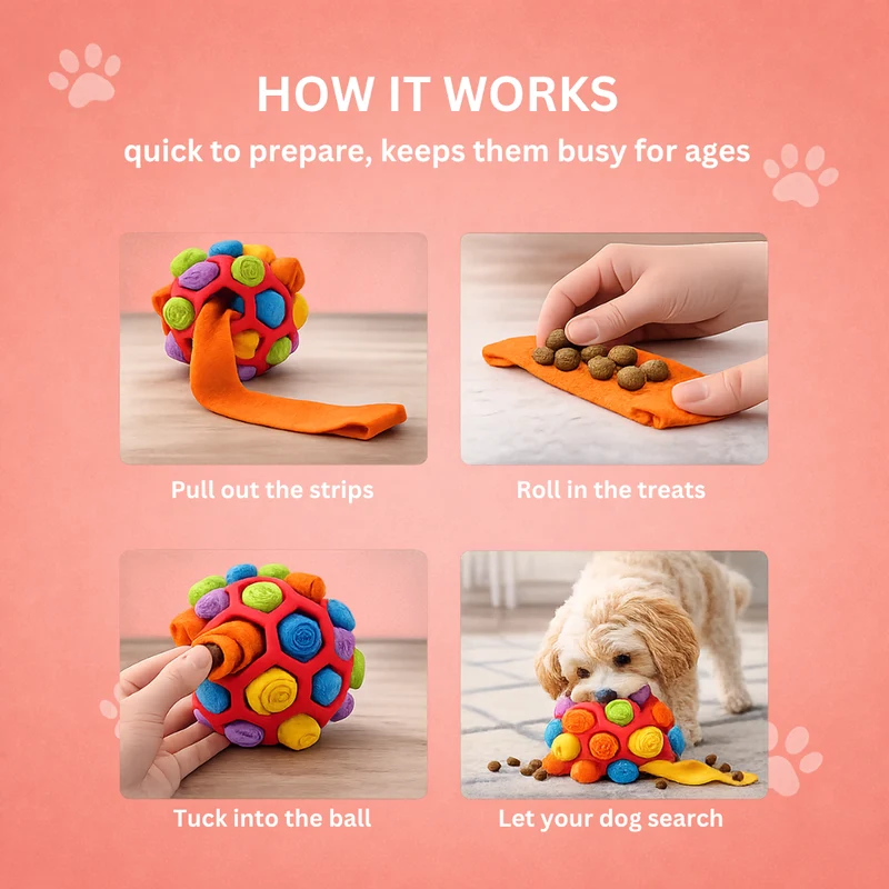 Schnüffelball für Hunde