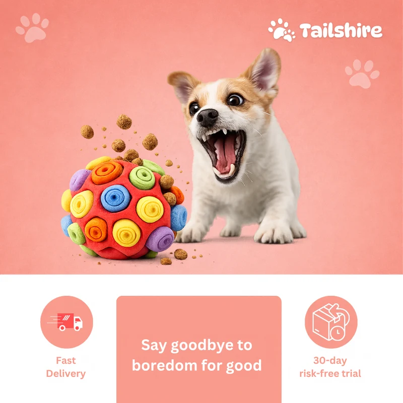 Schnüffelball für Hunde