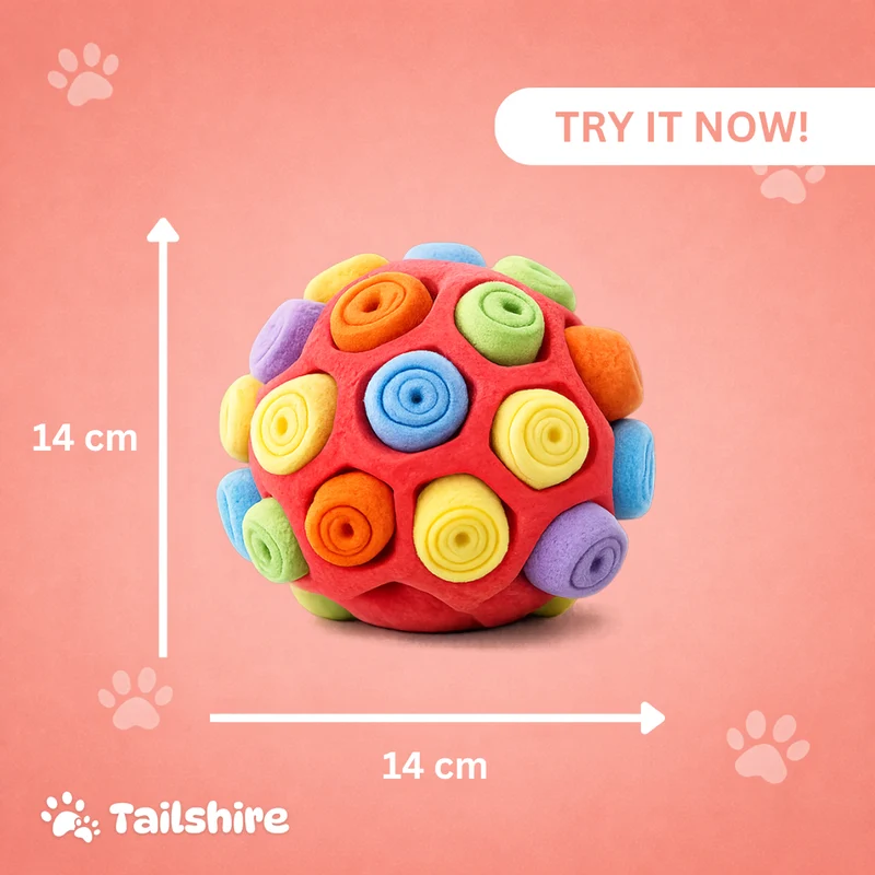 Schnüffelball für Hunde