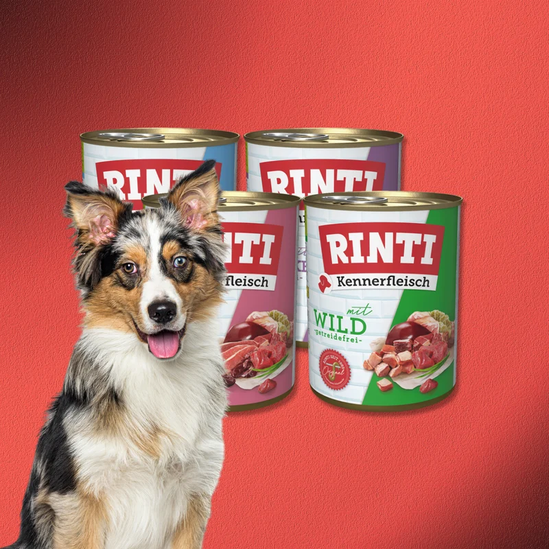 48x800g Rinti Kennerfleisch Mix 2 (4 Sorten)
