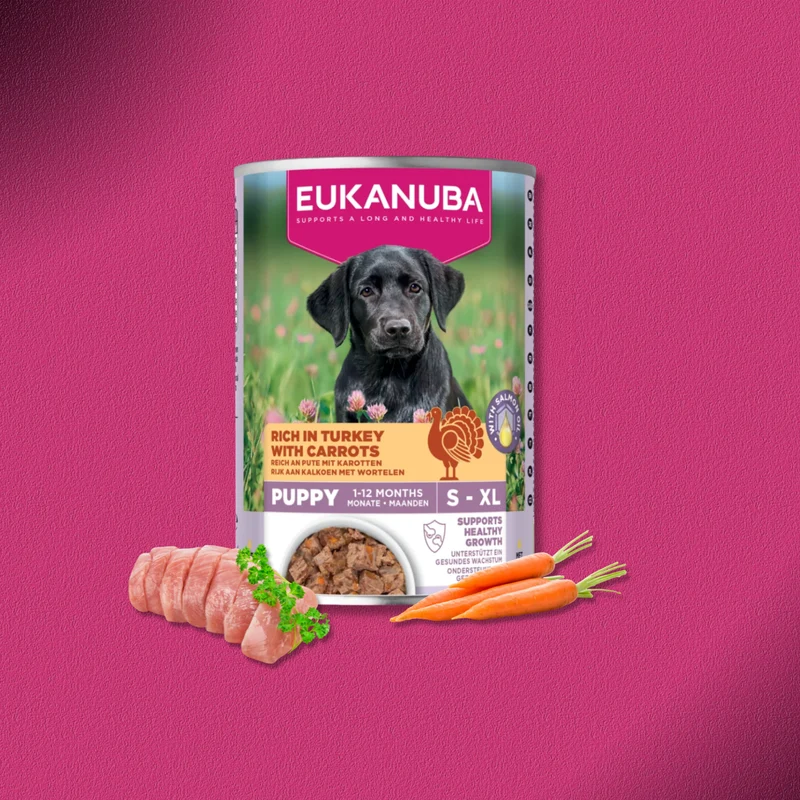 30x400g Eukanuba Puppy Reich an Pute mit Karotten