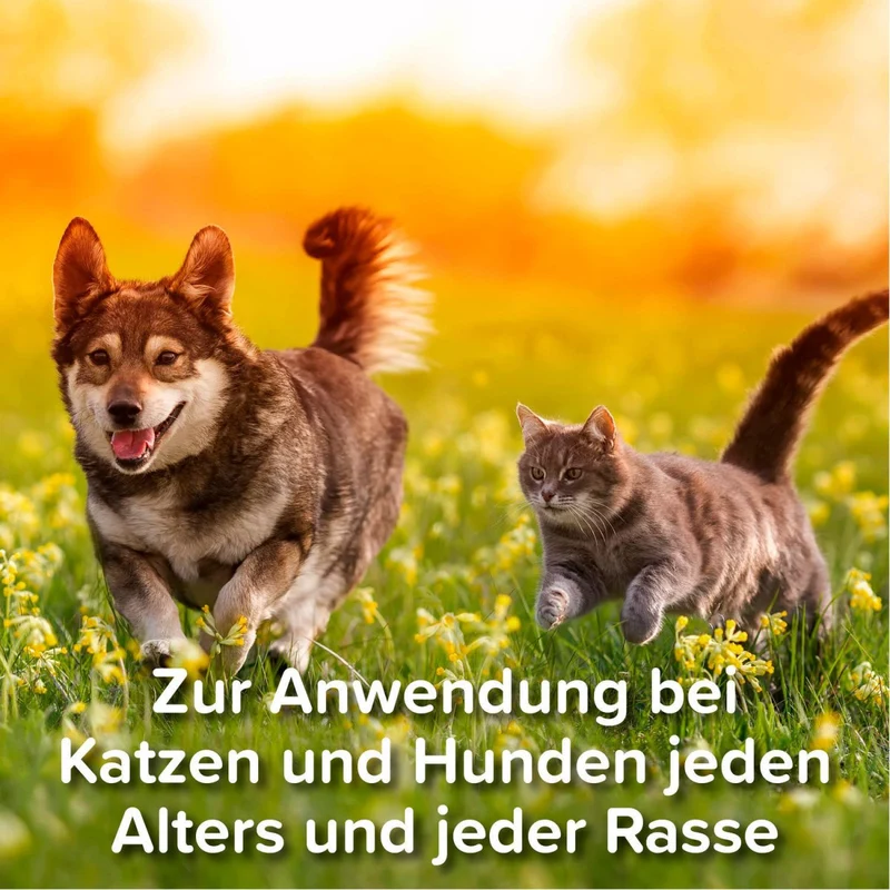 Beaphar Zeckenstift