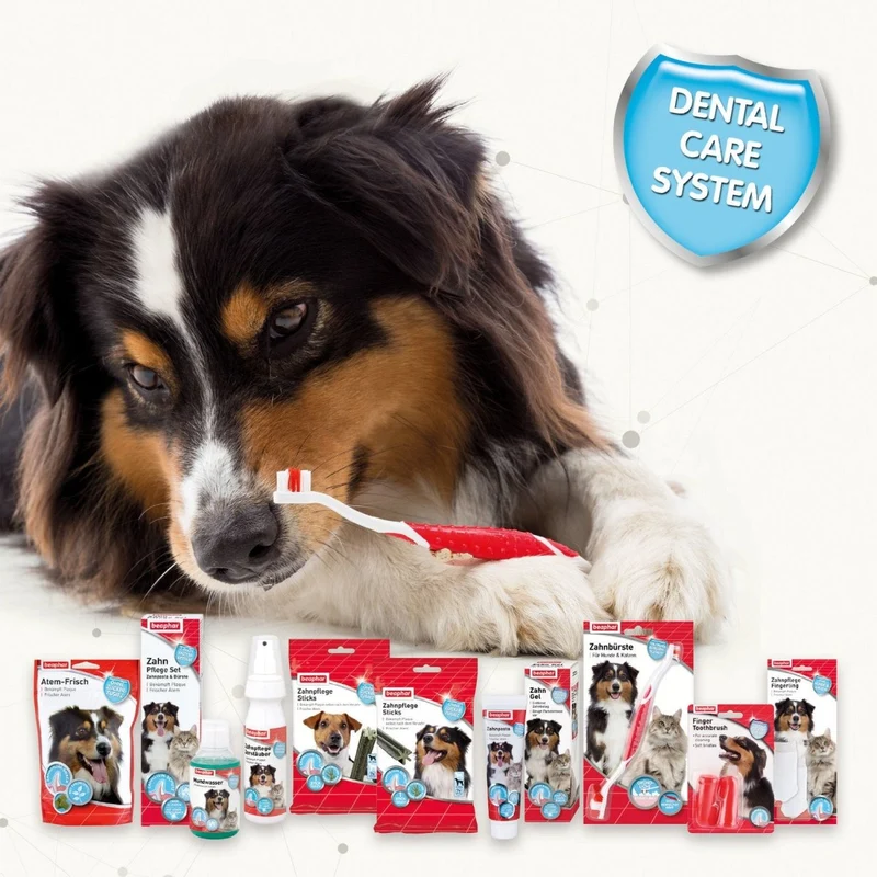Beaphar Zahnpflege Sticks für Hunde bis 10 kg