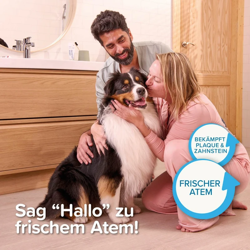 Beaphar Zahnpasta für Hunde & Katzen