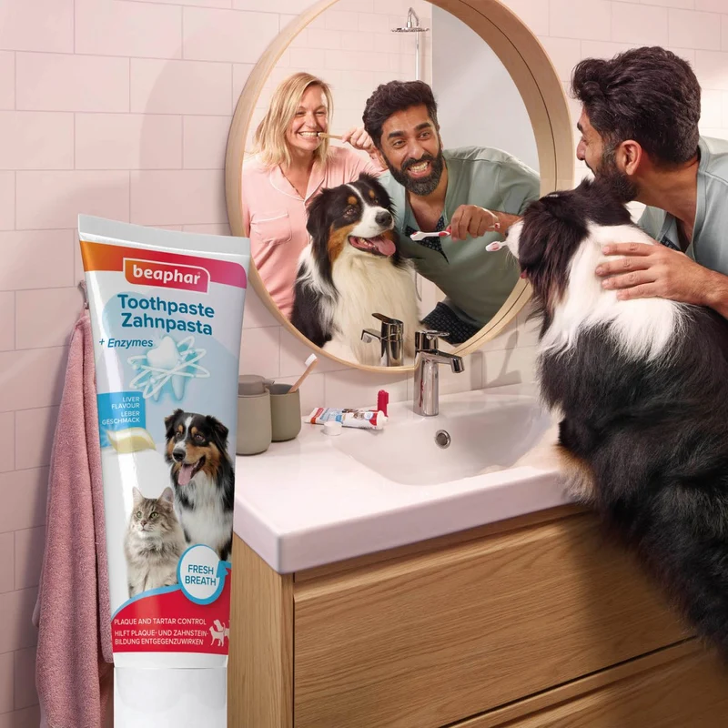 Beaphar Zahnpasta für Hunde & Katzen