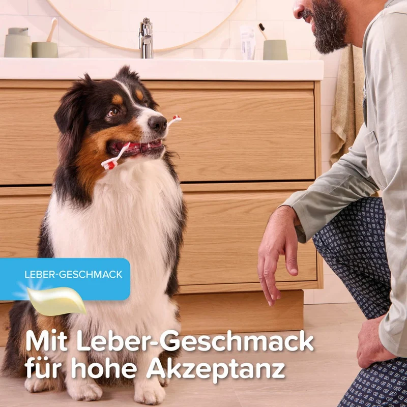 Beaphar Zahngel für Hunde & Katzen