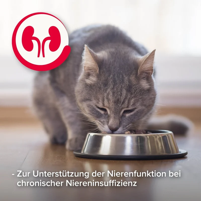 Beaphar Nierendiät Mix Pack