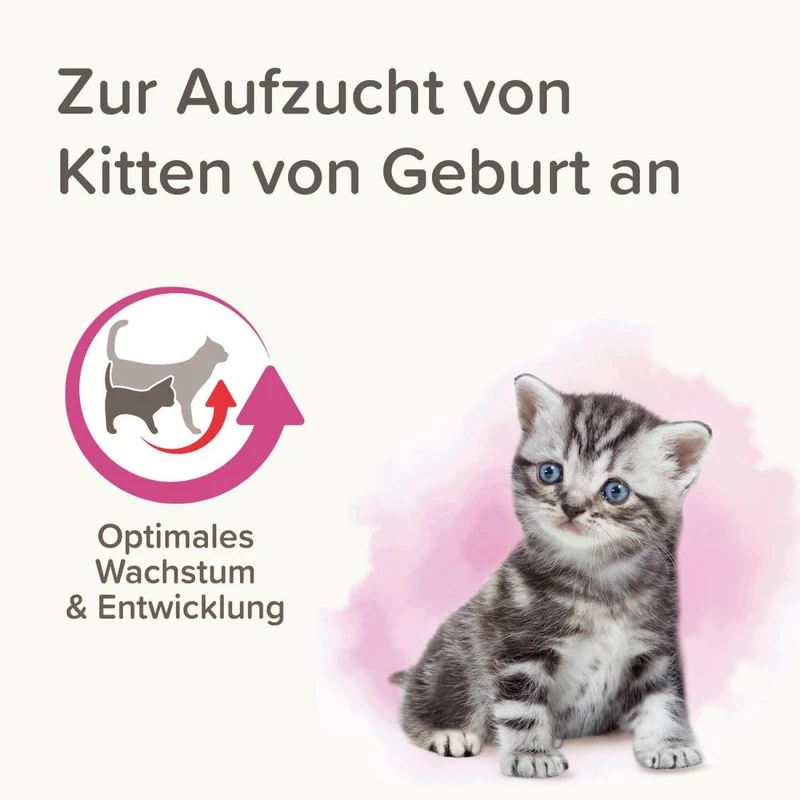 Beaphar Lactol Aufzucht-Milch Katze