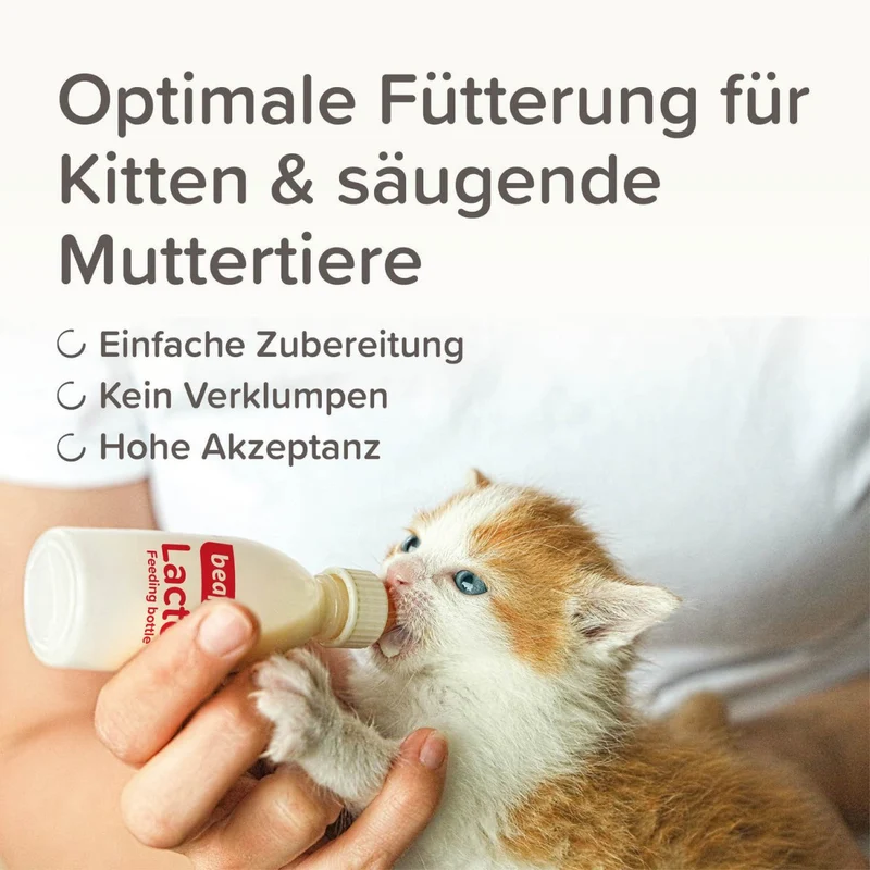 Beaphar Lactol Aufzucht-Milch Katze