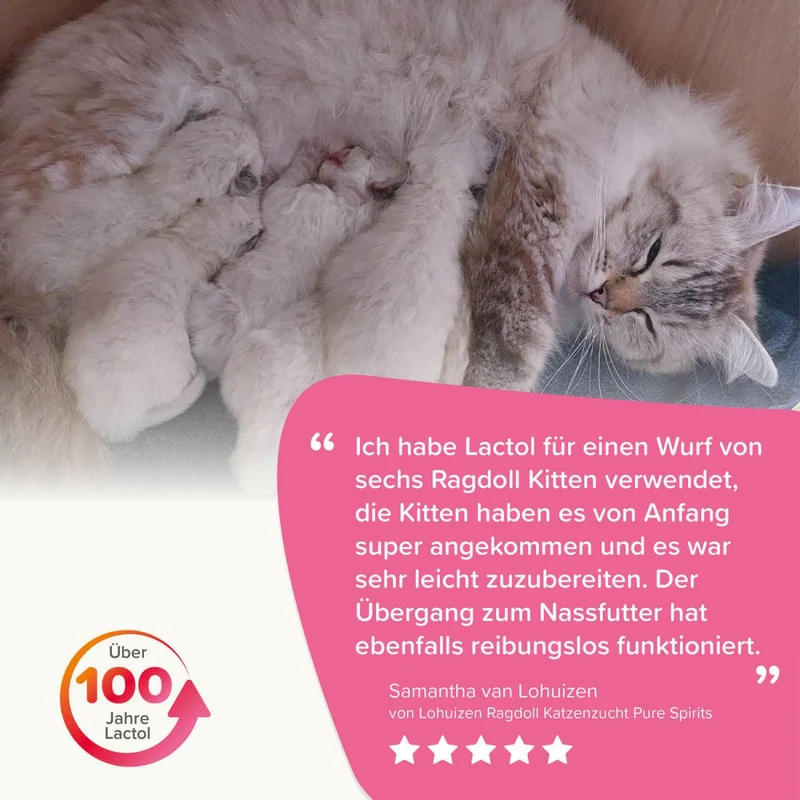 Beaphar Lactol Aufzucht-Milch Katze