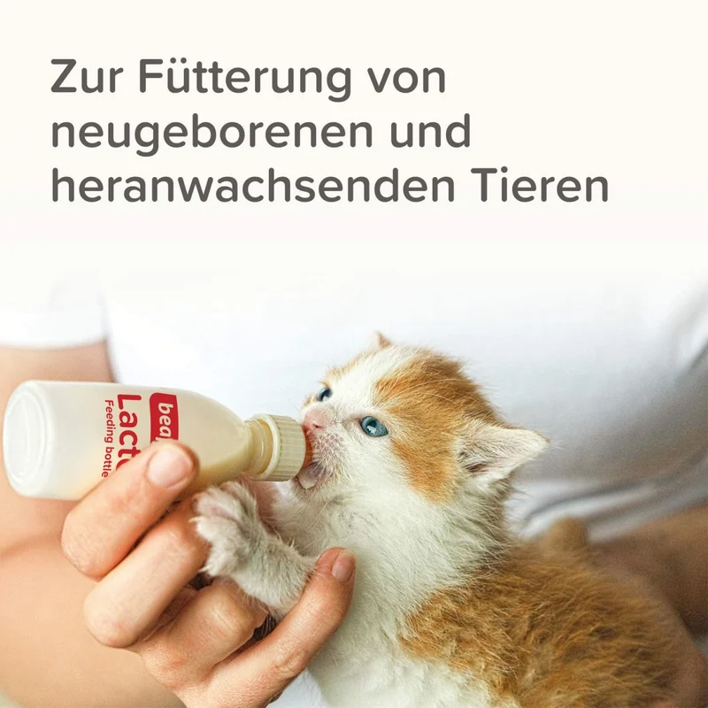 Beaphar Lactol Aufzucht Set (Flasche, Bürste & Sauger)