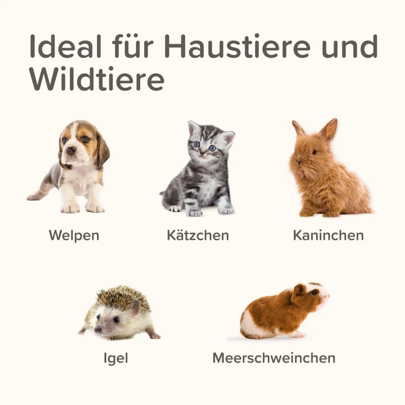Beaphar Lactol Aufzucht Set (Flasche, Bürste & Sauger)