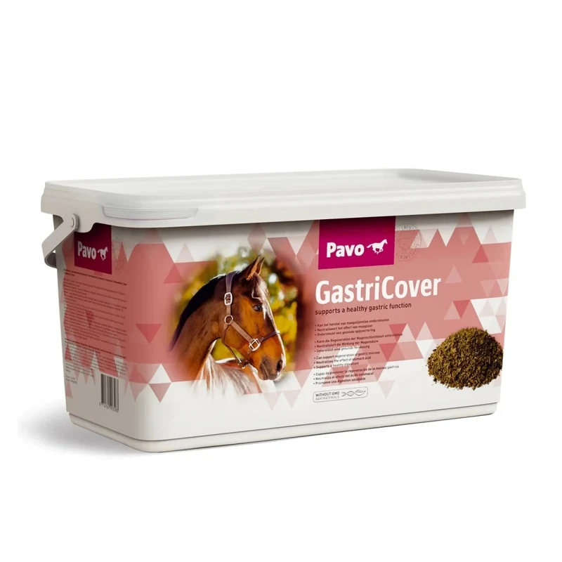 Pavo GastriCover
