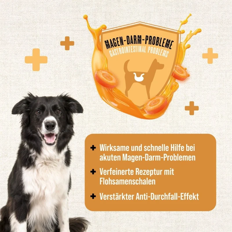 MACs Dog Vetcare Moro'sche Karottensuppe