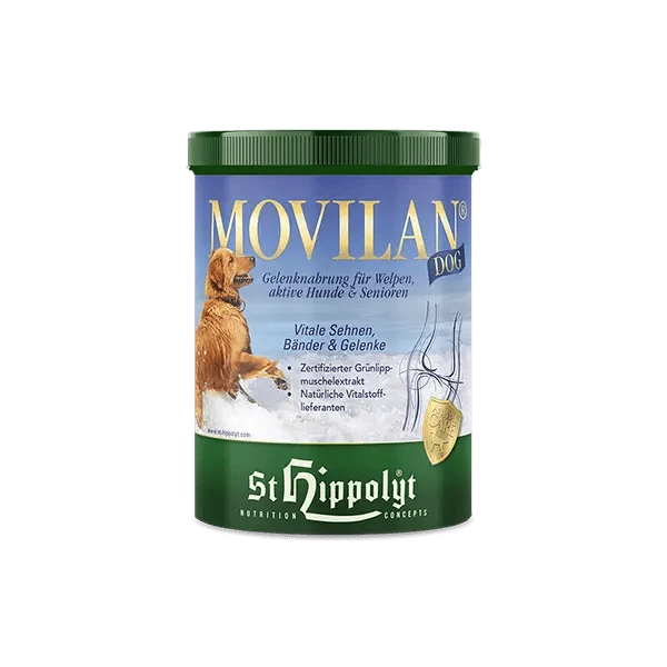St. Hippolyt Movilan Dog