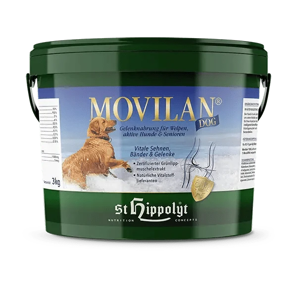 St. Hippolyt Movilan Dog