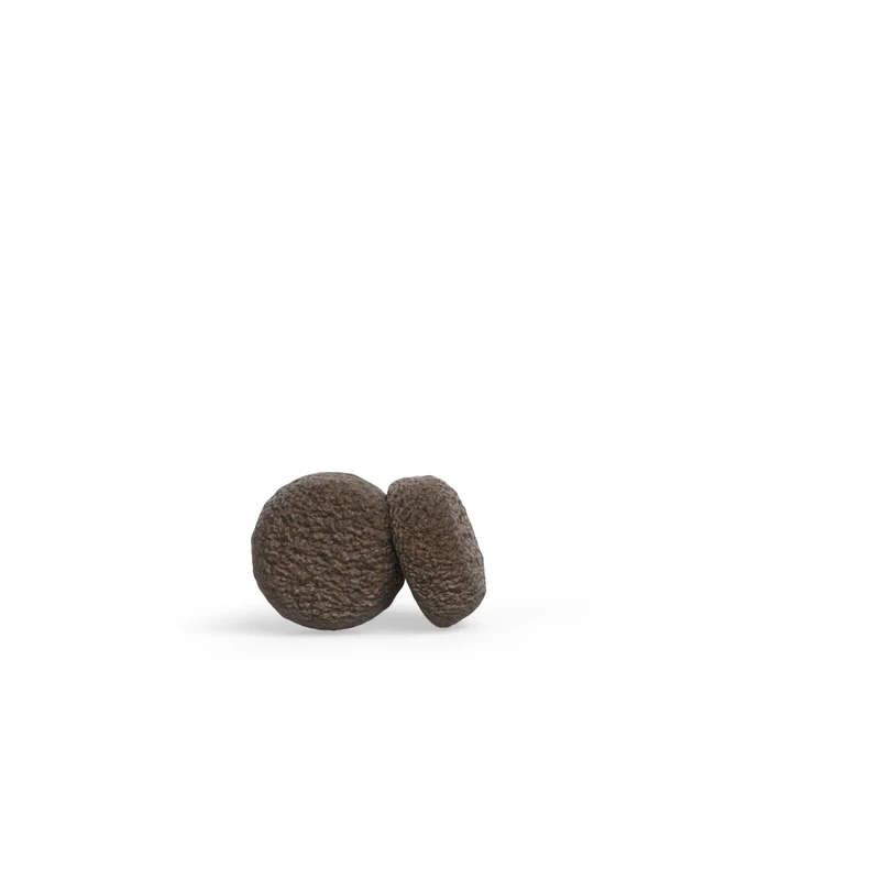 Green Petfood InsectDog Mini