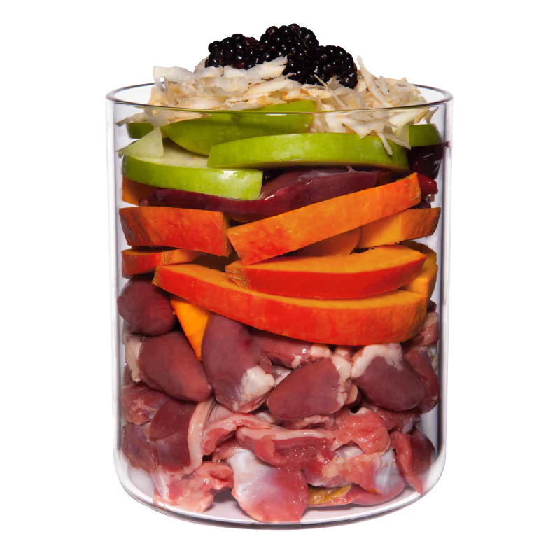 Terra Canis Grain-Free Huhn mit Pastinake