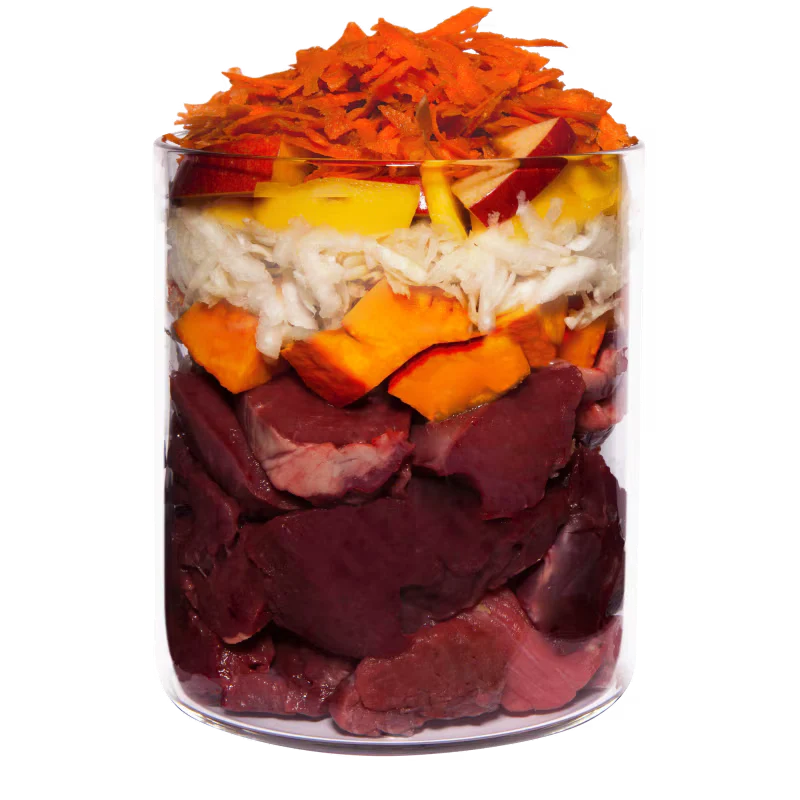 Terra Canis Grain-Free Lamm mit Kürbis