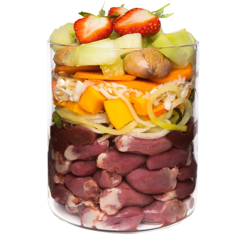 Terra Canis Grain-Free Ente mit Kürbis