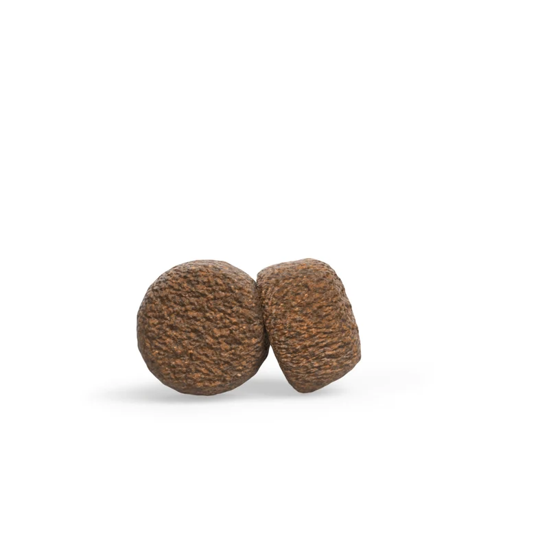 Green Petfood InsectDog Vitality