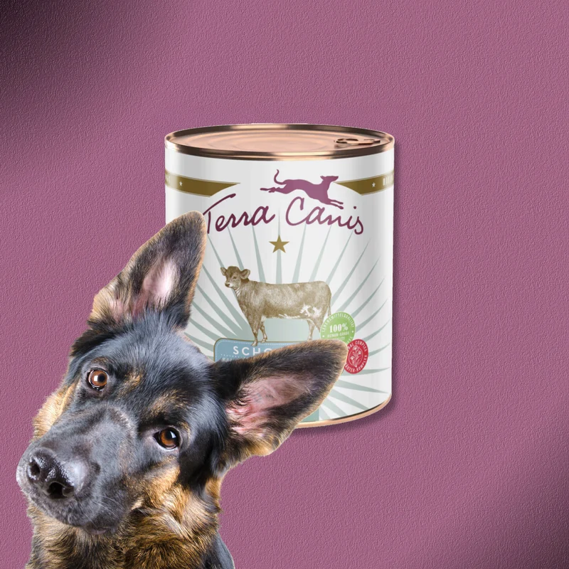 6x800g Terra Canis Schonkost Kalb mit Karotte, Kartoffel, Hüttenkäse & Kamille