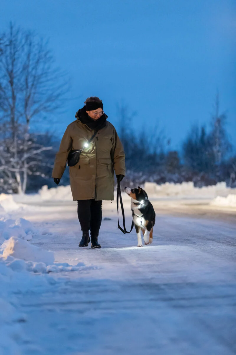 heller USB-Flasher für Hunde mit Silikonlasche