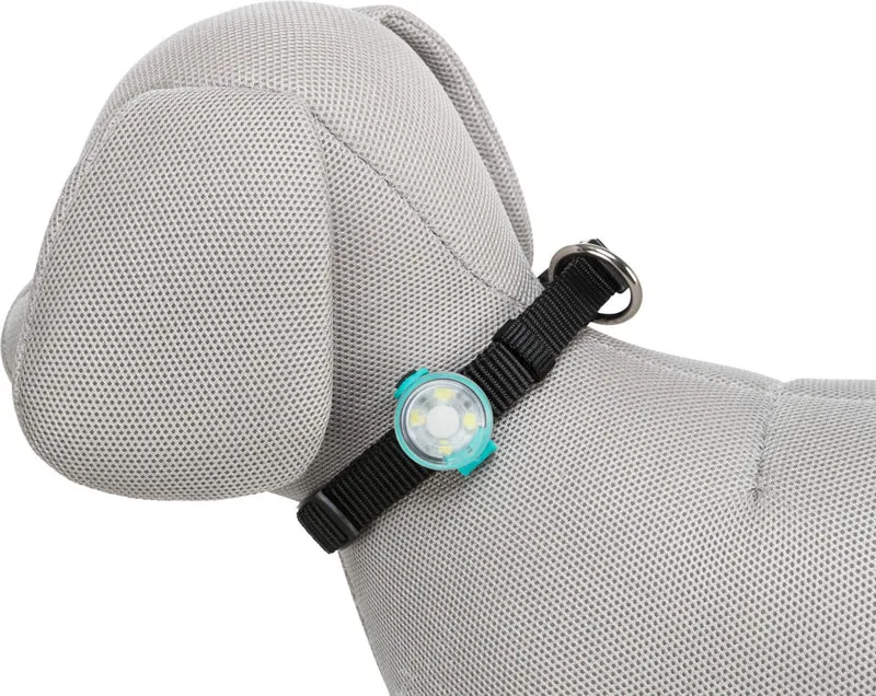 heller USB-Flasher für Hunde mit Silikonlasche
