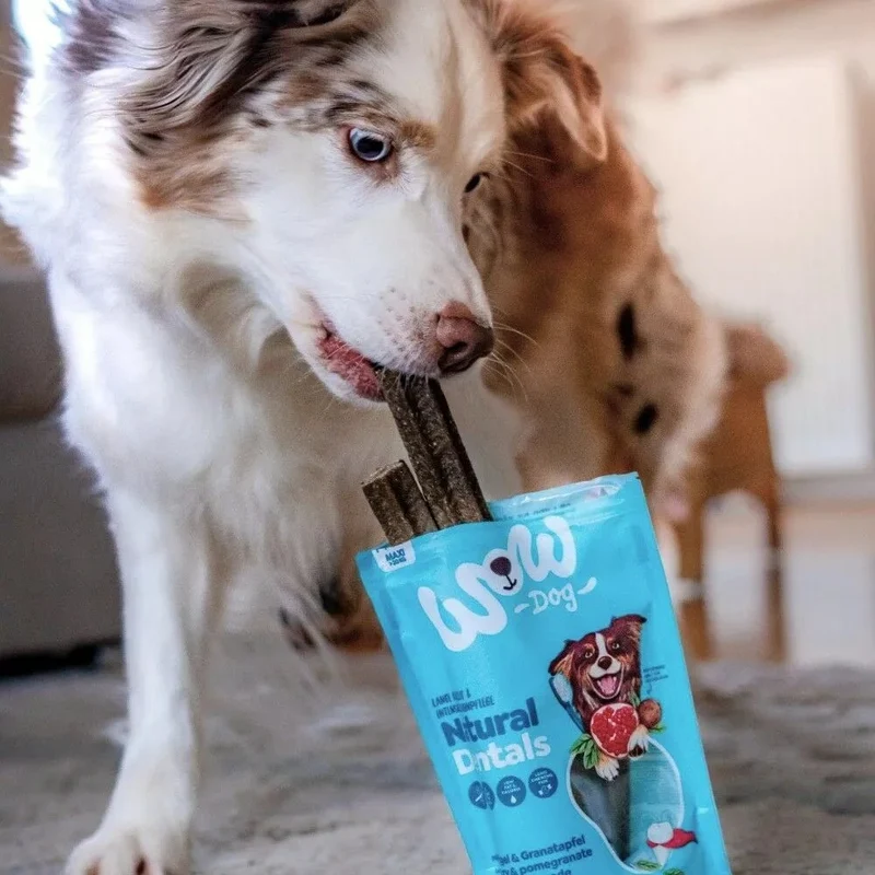 WOW Dog Natural Dentals Maxi