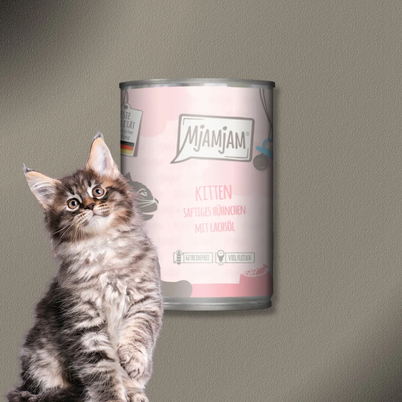 36x400g MjAMjAM Cat - Kitten saftiges Hühnchen mit Lachsöl