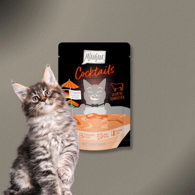 40x40g MjAMjAM - Cocktails - Gezupftes Rindfleisch