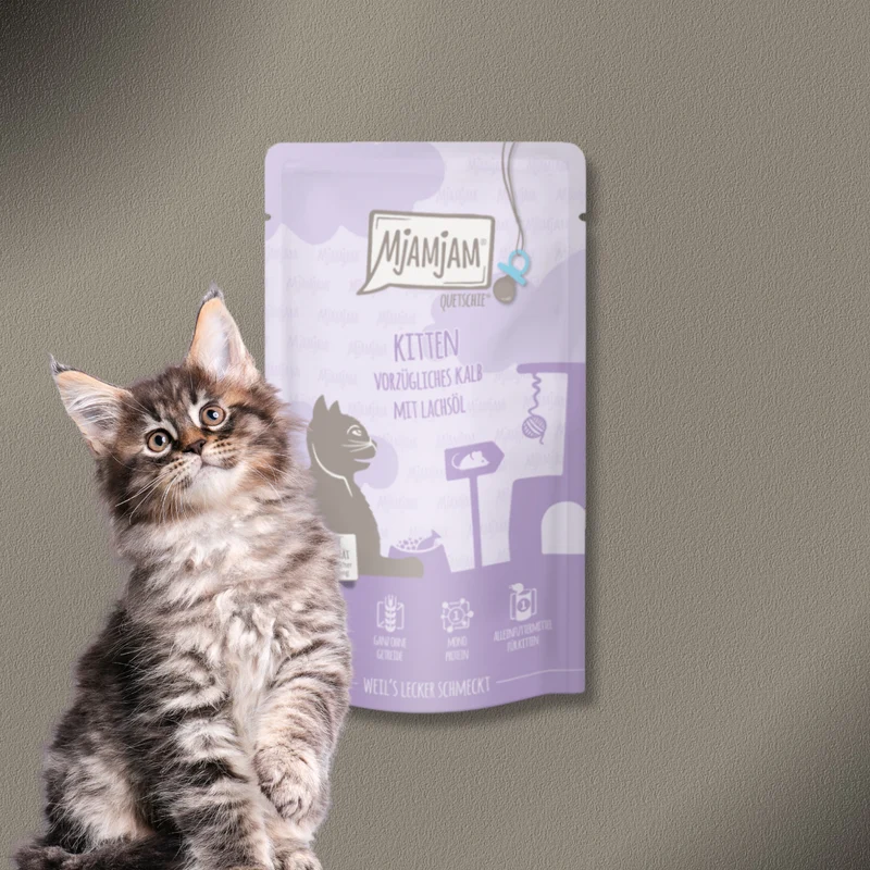 36x125g MjAMjAM - Quetschie Kitten vorzügliches Kalb mit Lachsöl