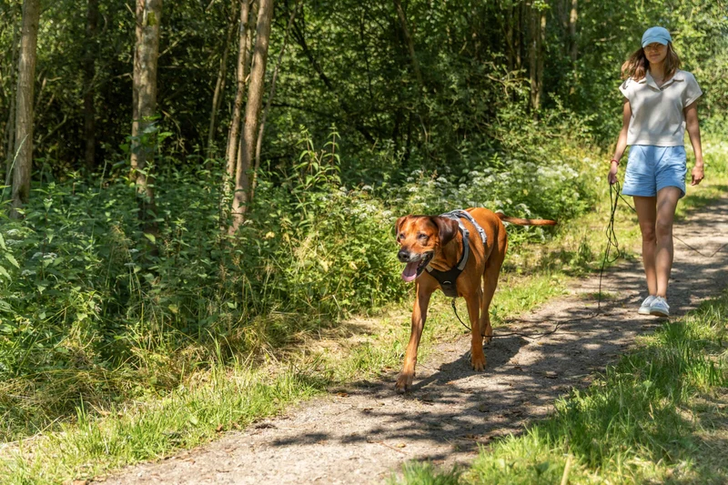 Schleppleine, rund