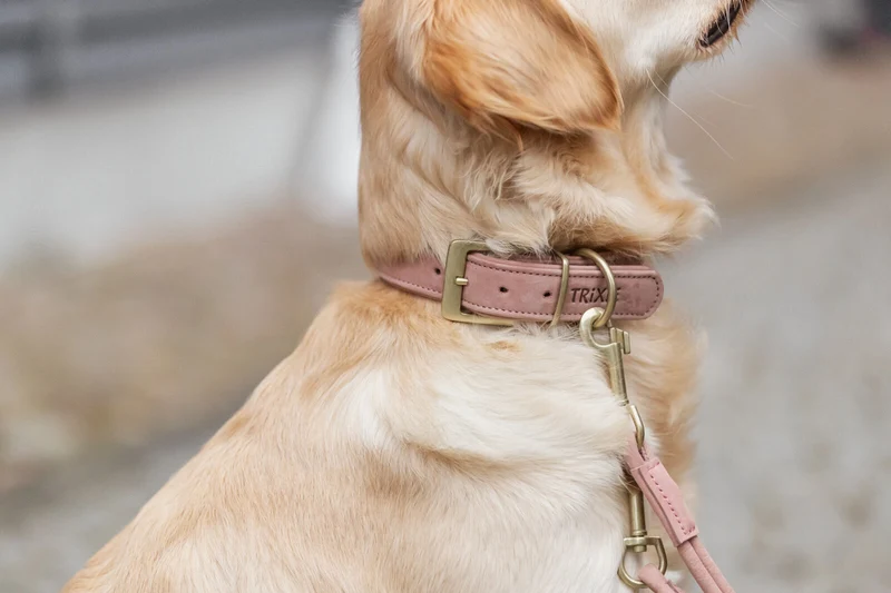 Pure Halsband, Leder extra breit