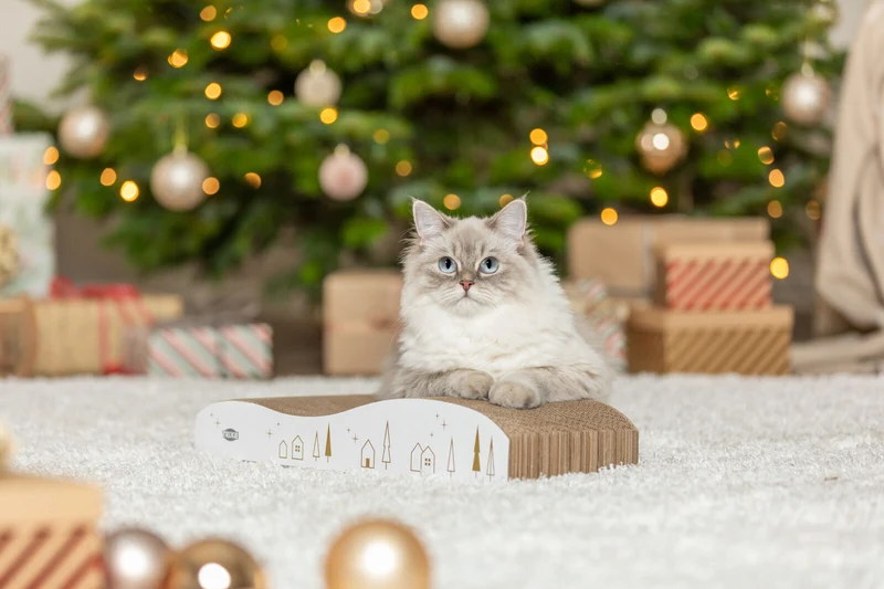 Kratzwelle Xmas
