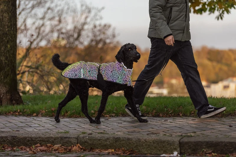 vollreflektierender, wasserdichter Hundemantel Limoux Reflect mit leichter Fütterung
