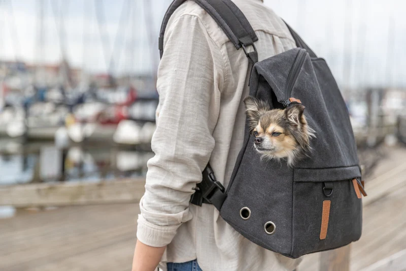 BE NORDIC 2in1 Hunderucksack und Cross-Body Tasche Bjorn in Canvas-Optik mit integriertem Beutelspender