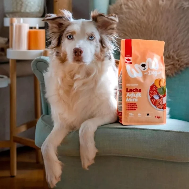 WOW Dog Adult Lachs mit Spinat & Süßkartoffel