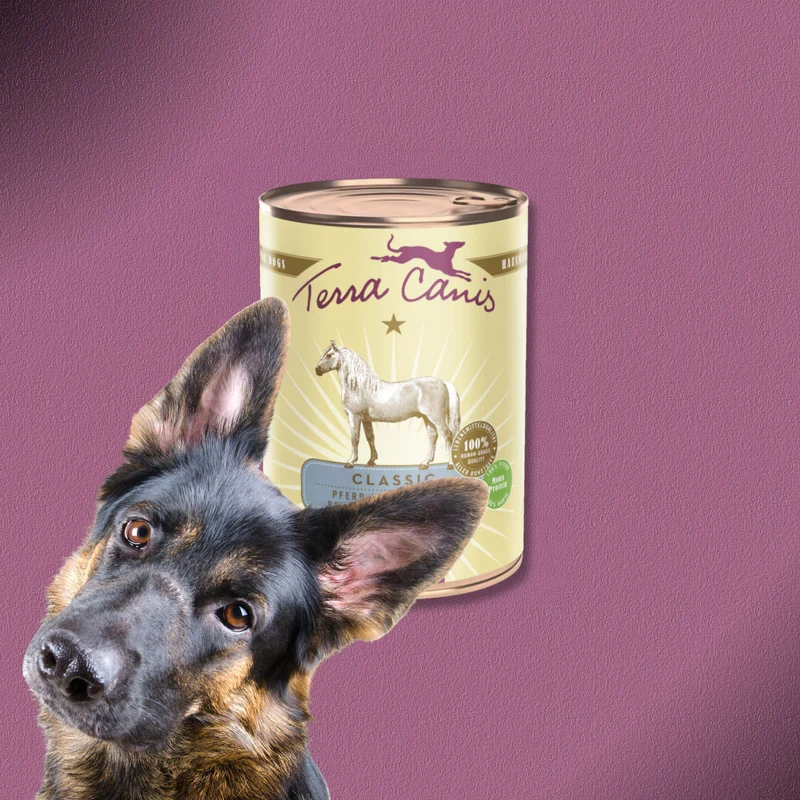 6x400g Terra Canis Pferd mit Amaranth, Pfirsich & Roter Beete