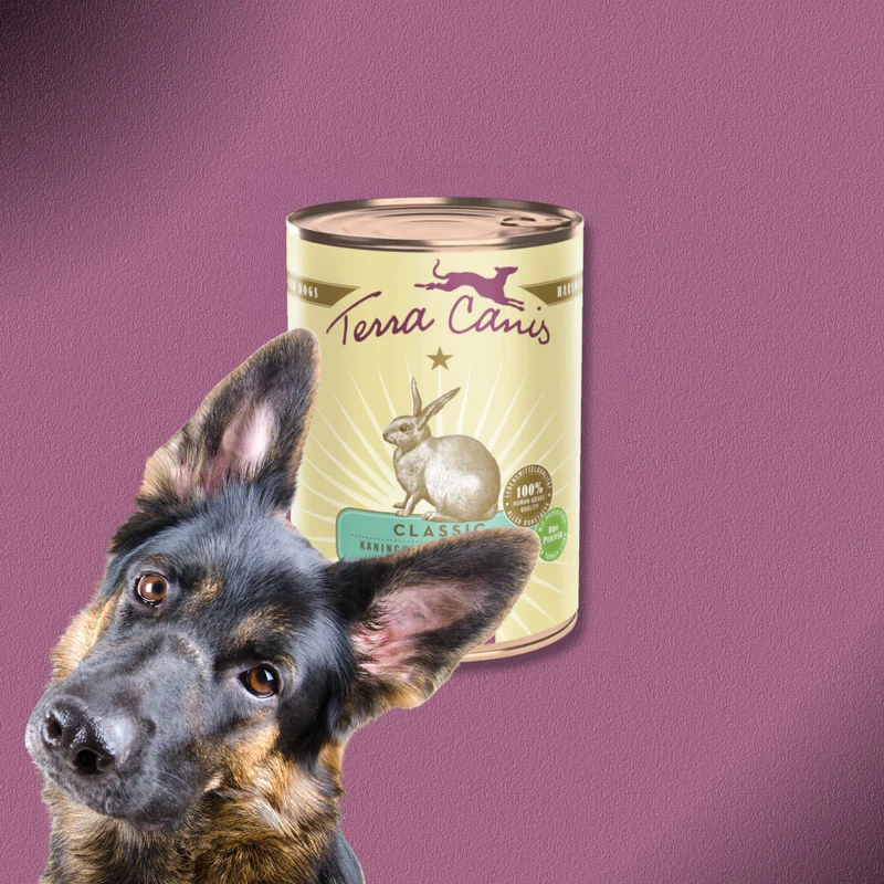 6x400g Terra Canis Kaninchen mit Zucchini, Amaranth & Kerbel