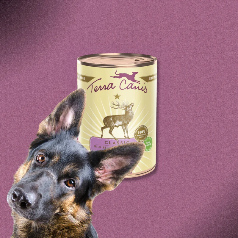 6x400g Terra Canis Wild mit Kürbis, Amaranth & Preiselbeeren