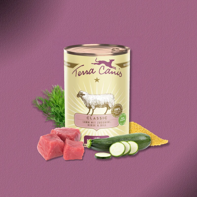 6x400g Terra Canis Lamm mit Zucchini, Hirse & Dill